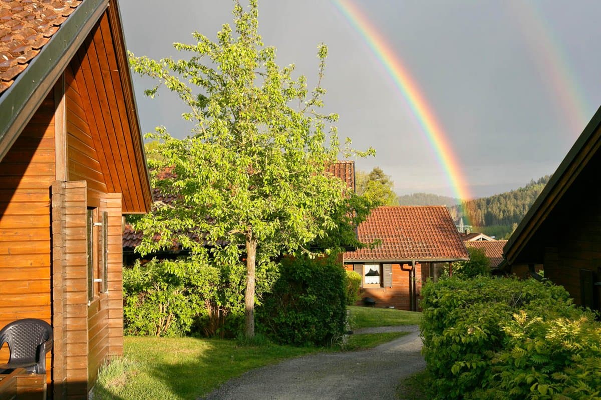 Ferienhaus Jägerpark Holzhütten mit roten Dächern, umgeben von Grünpflanzen, einem Baum und einem doppelten Regenbogen am Himmel. Ein Schotterweg schlängelt sich durch die Szene.