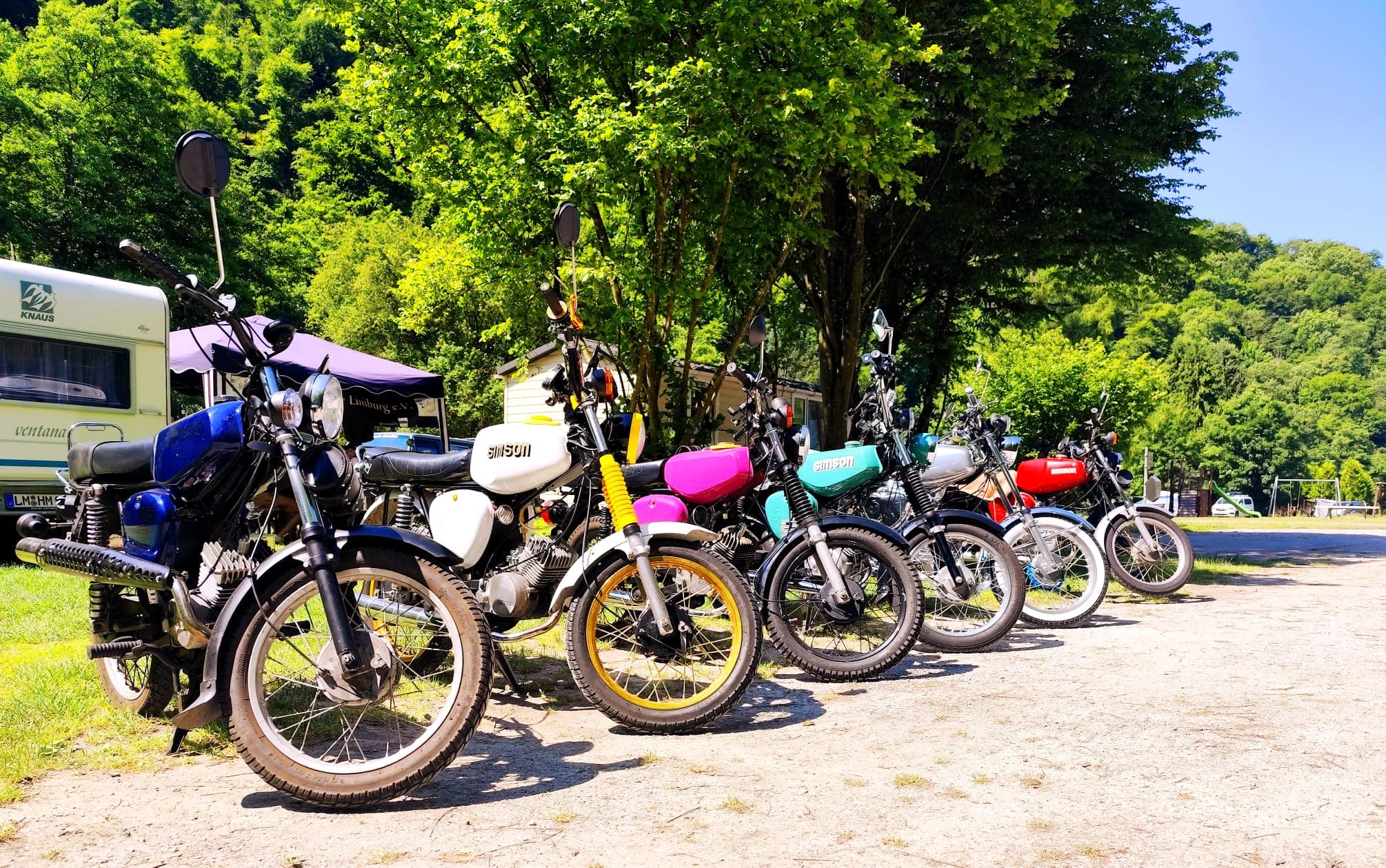 Simsons-Treffen 2025