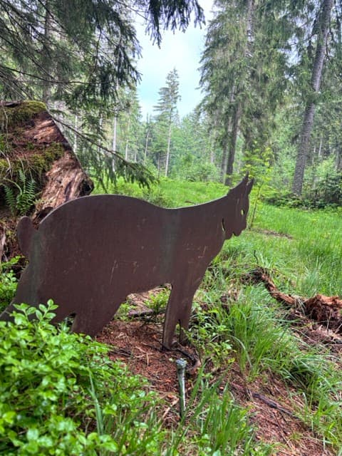 Waldstreifzug für Entdecker