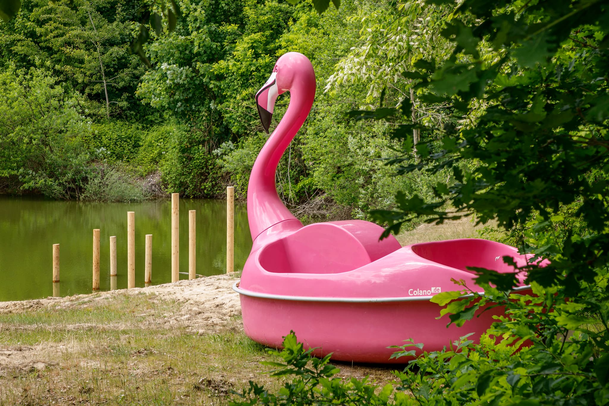 Flamingo Tretboot