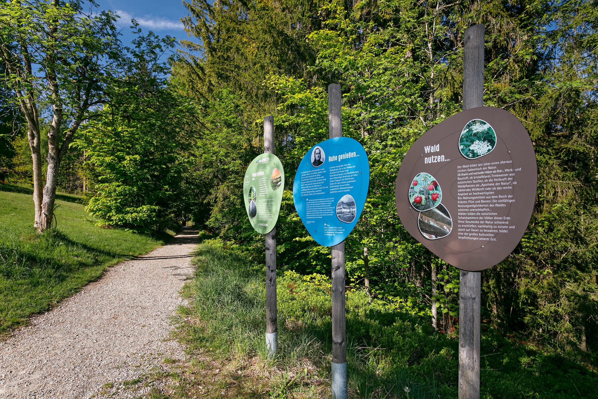 Erlebnispfad & Waldstreifzug