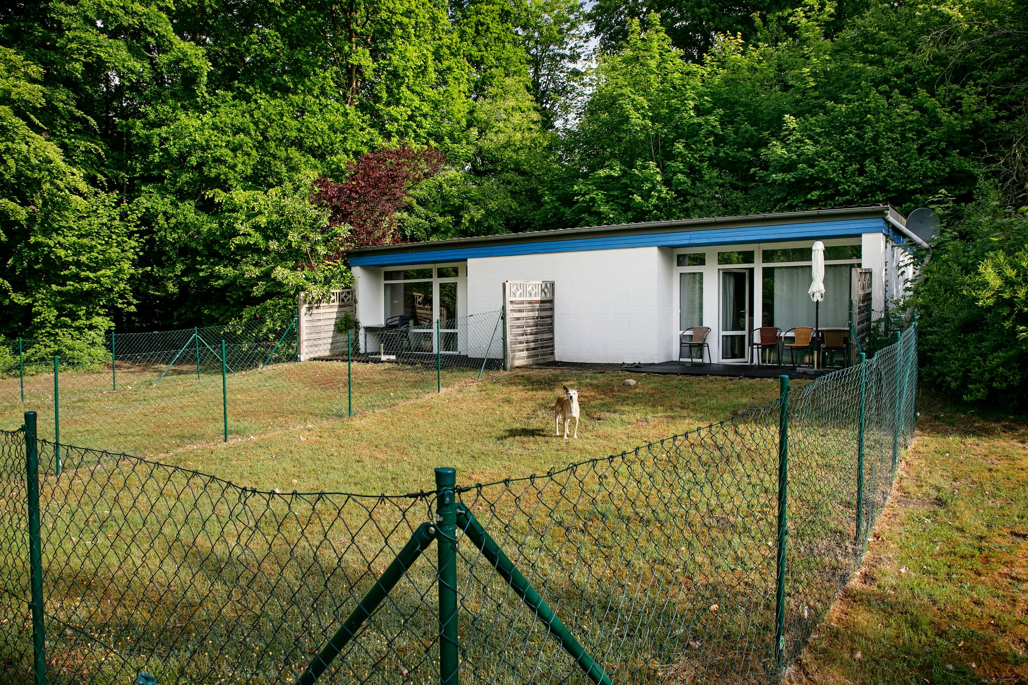 Hundefreundliche Ferienwohnungen