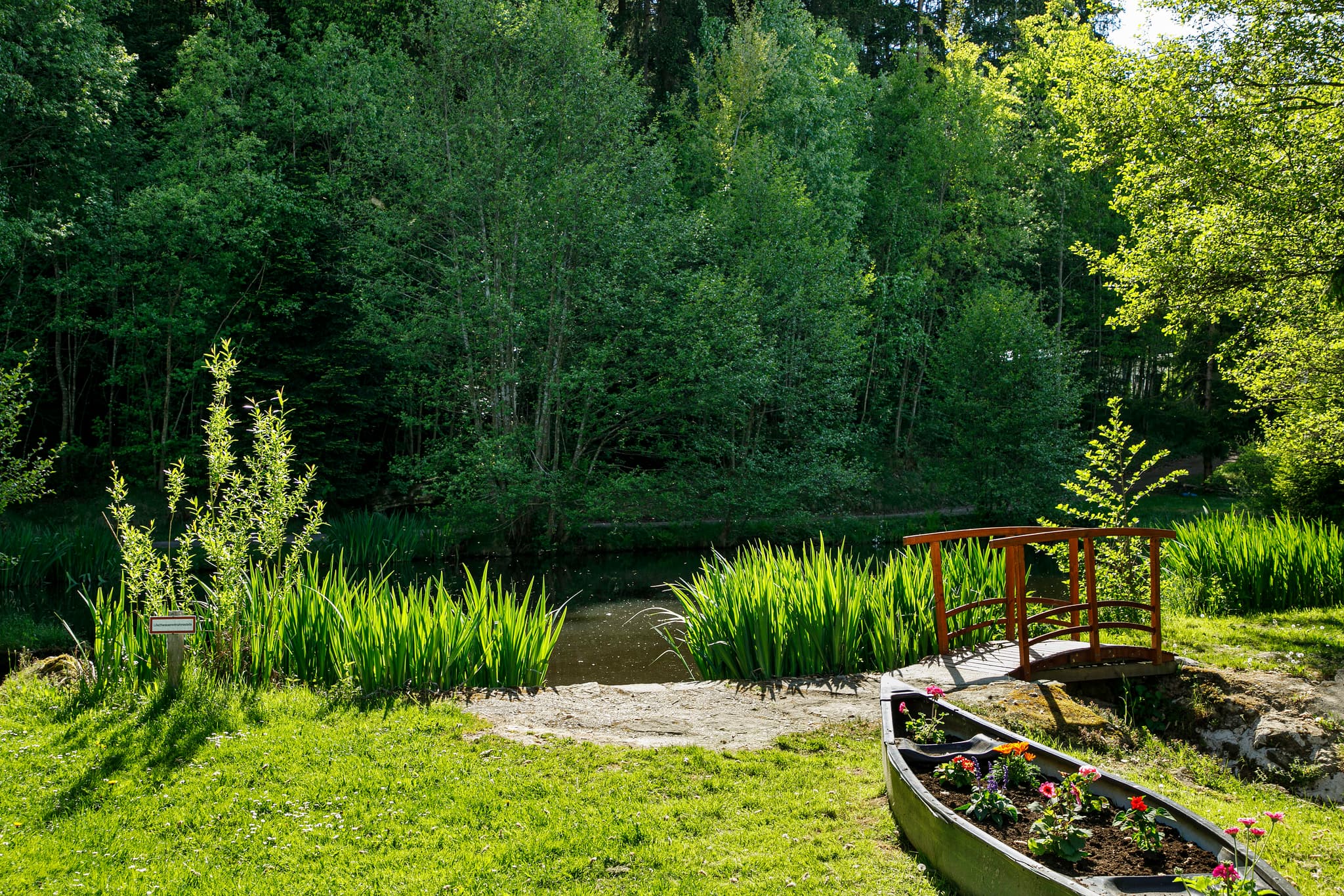Natur pur im Bayerischen Wald
