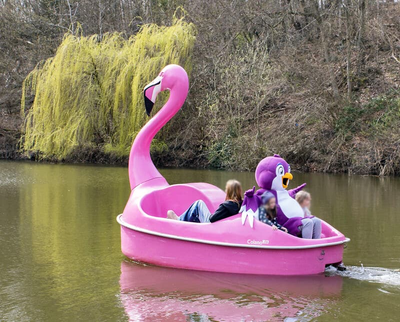 Flamingo Boots-Spaß